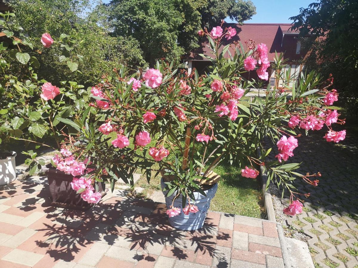 Vcielka Appartamento Bešeňová Esterno foto